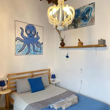 公寓 Octopus Blue Mykonos Town
