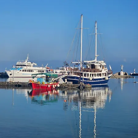 Octopus Blue Mykonos Town